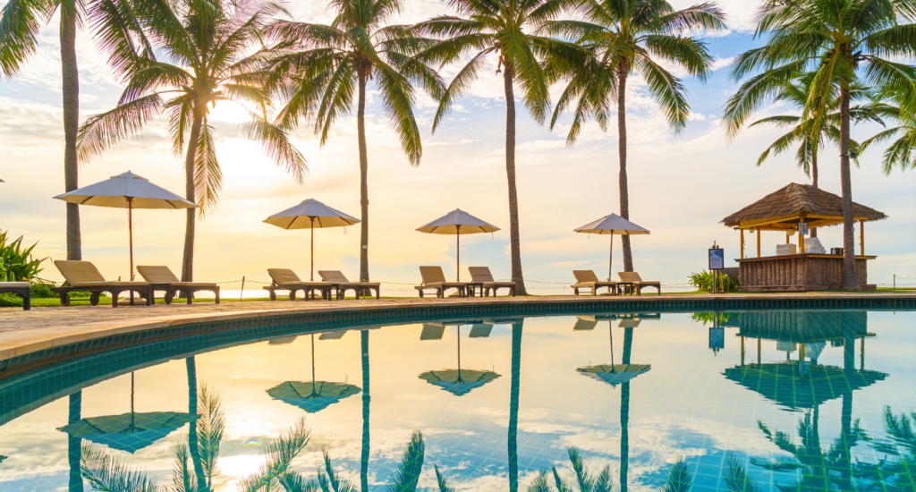 Credit card transfer partners Basics explained