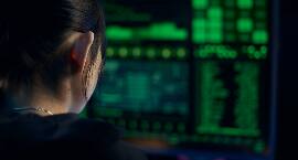 How do people steal credit card numbers?